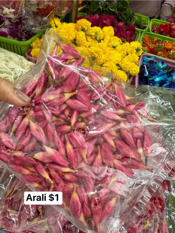 Arali